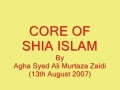 Four Perspectives On Religion - Core Of Shiat - Urdu