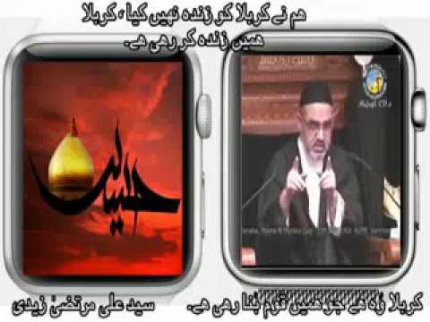 [Clip]Ham Nay Karbala Ko Zinda Nahi Kia Karbala Nay Hamian Zinda Kia Hai - Molana syed Ali Murtaza Zaidi Urdu