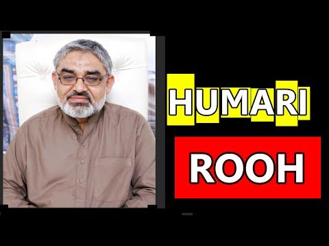 Rooh Kya Hai - Rooh ki Haqeeqat  || H.I Ali Murtaza Zaidi - Urdu