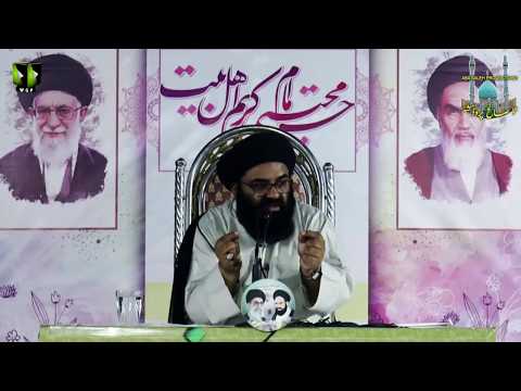 CLIP | اہلِ بیت ع کے لیے دہرا معیار | Hujjat ul Islam Maulana Syed Kazim Abbas Naqvi | Urdu