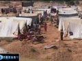 IOM: Over 80% Of Pakistanis Left Homeless Still Without Shelter - 17 SEP 2010 - English