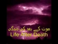 موت کے بعد کی ذندگی Nov 15th 2007-Life after Death by S Ali Murtaza Zaidi