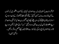 Shaheed Arif Hussain hussaini - Speech at a party meeting - Urdu